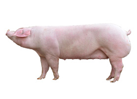 202302201009043537.jpg 202302201009043537.jpg